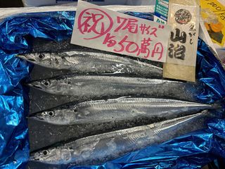 初サンマ、キロ５０万円＝豊洲市場で過去最高値