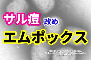 感染拡大「エムポックス」って何？　WHOが「緊急事態」再び宣言　「サル痘」から名称変更　症状、対策は