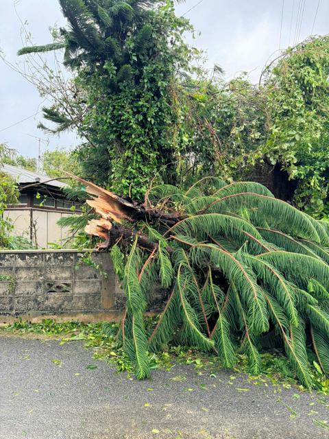 屋久島で瞬間最大風速38メートル　九州各地、風雨に警戒