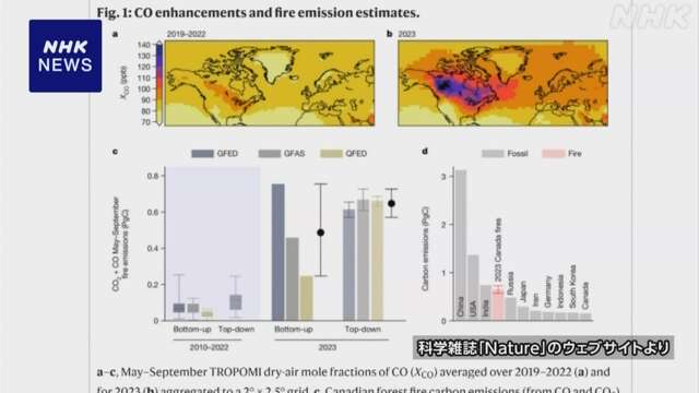 カナダ大規模山火事 炭素放出量 日本の1年間排出量超える規模