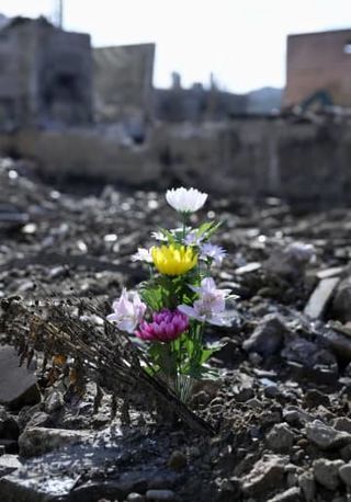 石川県、輪島の死者数訂正　能登地震犠牲者360人に