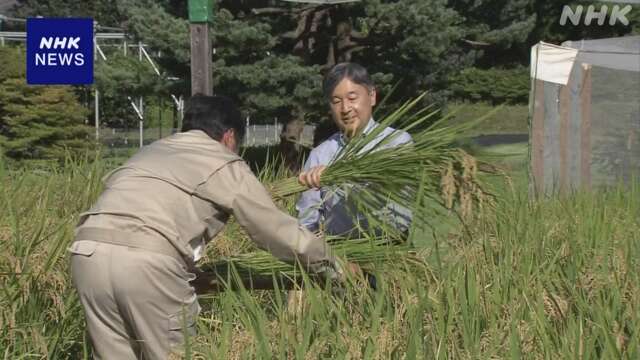 天皇陛下 皇居で稲刈り