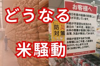 新米が届いても高値は続く？　専門家が指摘する「コメの先食い」、そも そも農政の在り方に問題が