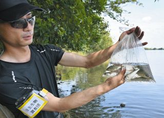 都内No.1の「おさかな天国」は江戸川だった　大物や珍魚まで　 28年調査を続ける団体に同行してみた