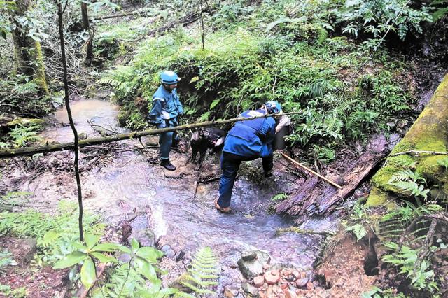 山中で座り込む行方不明の女性…警備犬が発見「20年ぶりの功績」