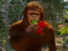 ビッグフットになれるサバイバルシム「Bigfoot Life」，最新トレイラーを公開。ヒーリングスキルで野生動物を治療するシーンも