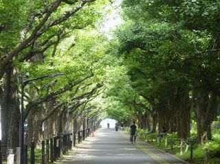 外苑再開発、２８日に住民説明会　再開発事業者が理解求め