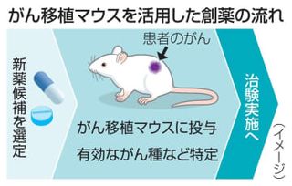 新しい抗がん剤で治験開始　移植マウスの胆道で効果確認