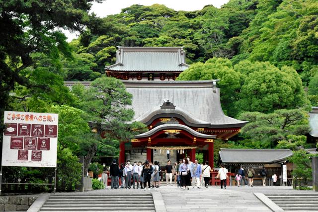 鎌倉・鶴岡八幡宮で流鏑馬の練習中に男性落馬　16日の神事は中止に