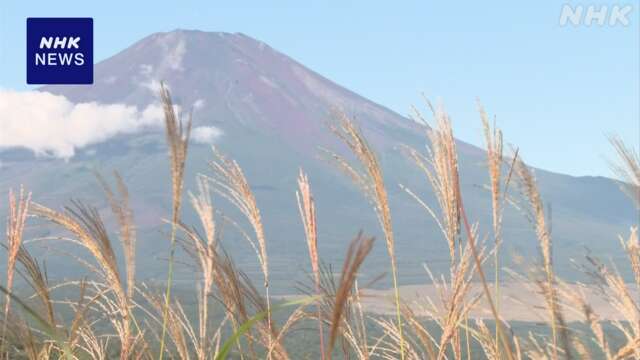 富士山を一望できる峠 ススキが見頃