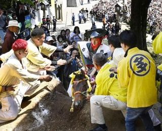 「上げ馬神事」で１２人書類送検　動物虐待疑い、三重・桑名