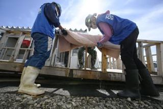 豪雨浸水の仮設住宅、泥除去　石川県の災害ボランティア始動