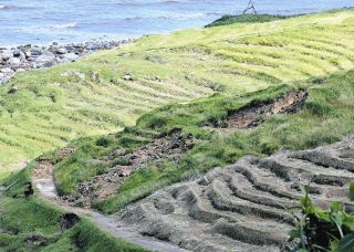 「せっかく直した」白米千枚田が土砂崩れ　稲刈り終えた直後に能登豪雨…管理担う愛耕会「今は何も考えられない」