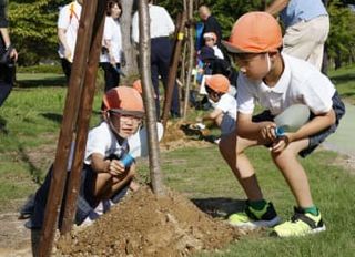 能登の復興祈り桜を植樹　千本目標、和倉温泉で