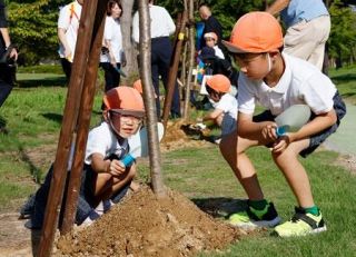 能登の復興祈り桜を植樹　千本目標、和倉温泉で