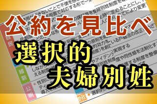 選択的夫婦別姓の「早期実現を」…なぜ、自民支援の経団連が？　企業だから見える「多様性」の意味