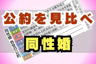 「同性婚、今じゃなきゃいけない人はたくさんいるのに…」　裁判所が権利保障を求めてもなぜ国会は動かない？