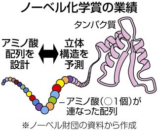 タンパク質の設計と構造予測にノーベル化学賞　AIで50年来の難関突破