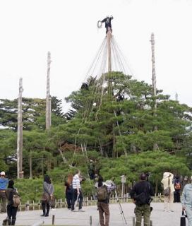 金沢・兼六園で「雪づり」始まる　枝に縄張り木々守る冬の風物詩