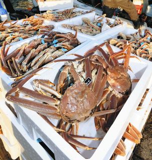 石川、富山のズワイガニ漁が6日解禁　地震以来の出漁を心待ち　輪島港の再開「県漁連全体で支える」