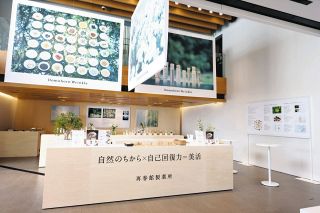 ドモホルンリンクルも試せる「美活カフェ」　代官山で11日まで　再春館製薬所