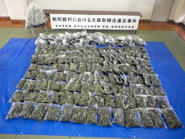 押収品は2億5千万円相当　自称「焼き芋屋」に大麻の所持と栽培容疑