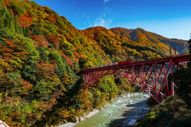 燃える峡谷に今だけ降りられるトロッコ駅　黒部峡谷で紅葉見頃