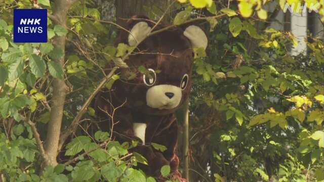 ドローンとAIを組み合わせクマ探知する実証実験 秋田 五城目町