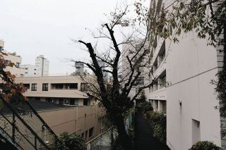 校舎横に高さ70メートルのタワマン計画…「日当たり悪化、のぞき見の恐れも」　桜蔭学園が差し止めを求め提訴