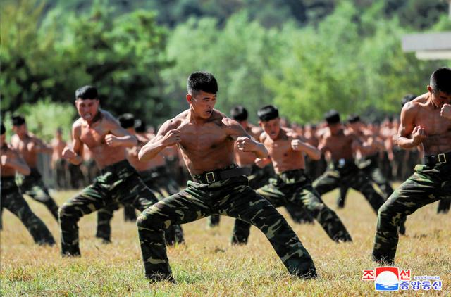 北朝鮮兵の派遣「10万人規模になる可能性」　ゼレンスキー氏が言及