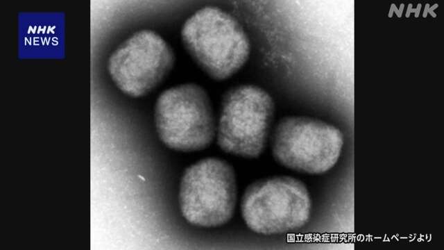 エムポックス 緊急リストに 日本の製薬会社開発のワクチン追加