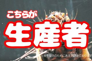 クモの糸より強い自然界最強繊維「ミノロン」、医薬品メーカー興和が製品化　第1弾はスポーツ用品