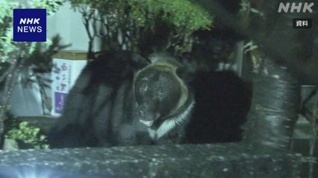 北海道猟友会 ハンターのヒグマ駆除“要請拒否せず 現場判断”