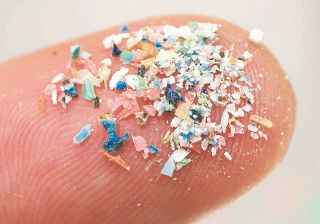 ヒトの血液から微細なプラスチック検出…プラごみ汚染から世界を守れるのか？　合意目指し政府間交渉が続く