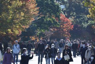 秋の乾通り、一般公開始まる＝来月８日まで―皇居