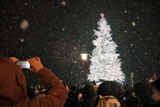 雪の函館、きらめくツリー　港町にクリスマスの足音