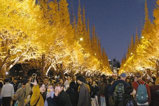 明治神宮外苑にはイチョウ並木が似合う　12月なのに秋みたいに暖かくて、まだまだ「黄葉」が続きそう