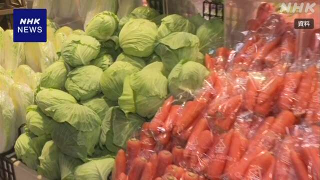 1日に摂取する野菜の量 過去最少に 平均250gあまり 厚労省調査