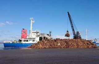 能登地震の廃棄物、８都県に搬出　船活用、受け入れ拡大調整