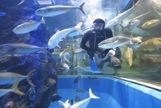 創立111年最古の水族館、来場8百万人　源流から深海再現、発光生物の研究も、富山