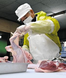 希少な国内産「阿岸の七面鳥」、クリスマスを前に出荷ピーク　地震で飼育小屋が半壊、受注危機を乗り越えて